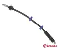 Gumifékcső - Brembo