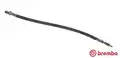Fékcső - Brembo