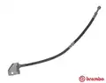 Gumifékcső - Brembo