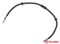Gumifékcső - Brembo