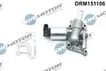 Egr Szelep - DR. Motor