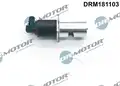 Egr Szelep - DR. Motor