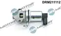 Egr Szelep - DR. Motor