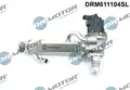 Agr-Szelep - DR. Motor