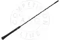Antenna - AIC