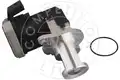 Egr Szelep - AIC