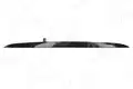 TAILGATE HANDLE - AIC