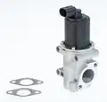 Egr Szelep - Wahler