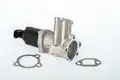 Egr Szelep - Wahler