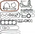 Teljes tomiteskeszlet, motor - Reinz