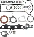Teljes tomiteskeszlet, motor - Reinz