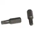 Bitfej, Torx, 25X25, 10 db, 1/4