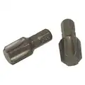 Motor Flush K2 (Kelemen)