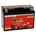 Motorkerékpár akkumulátor Gél 12V 8AH - Banner