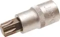 1/2 Bit Socket, T-Star T60 x 55 mm - BGS