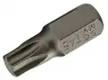 T profilú csavarfejhegy 30mm (furat nélkül) T45 - BGS