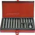 15 részes bitkészlet 10mm-es (torx) 1015PQ - King Tony