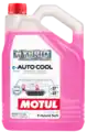 MOTUL E-AUTO COOL -37C 5L - Motul