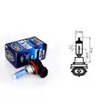 12V H8 35W izzó - SCT Germany