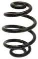 Suspension springs rear axle S - Starline