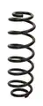 Suspension springs rear axle S - Starline