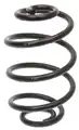 Suspension springs rear axle S - Starline