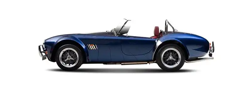 AC COBRA 5.8 (291F)