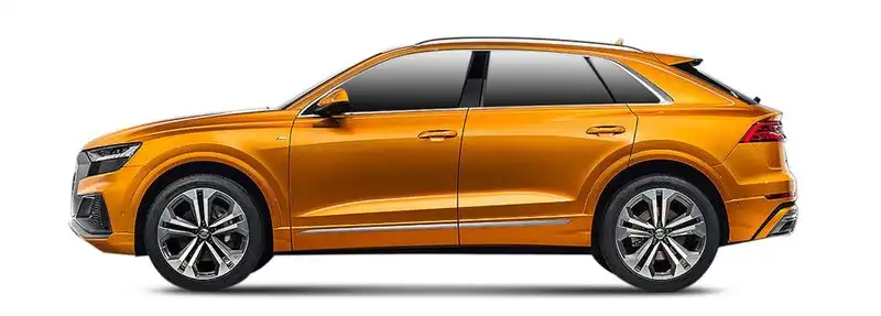 Audi Q8 (4MN) 55 TFSI Mild Hybrid quattro
