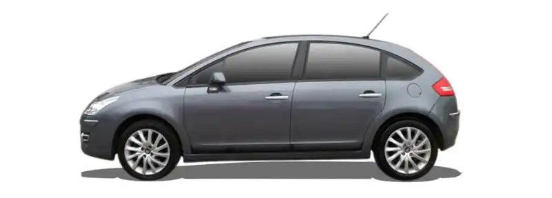 CITROËN C4 2.0 Flex