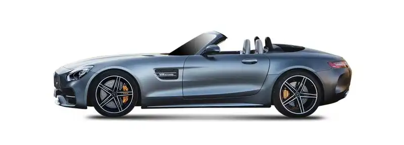 Mercedes-benz AMG GT Roadster (R190) GT (190.477)