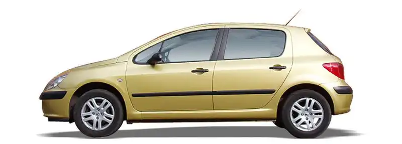 PEUGEOT 307 1.6