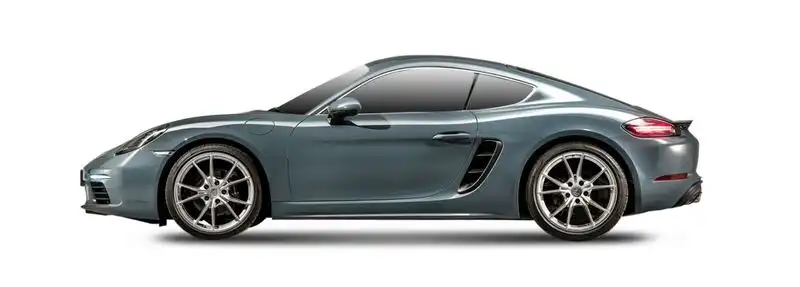 Porsche 718 4.0 GT4 (982810, 982811)