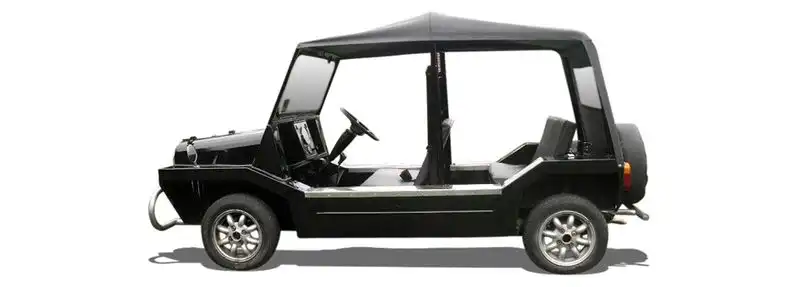 ROVER MINI 1.0